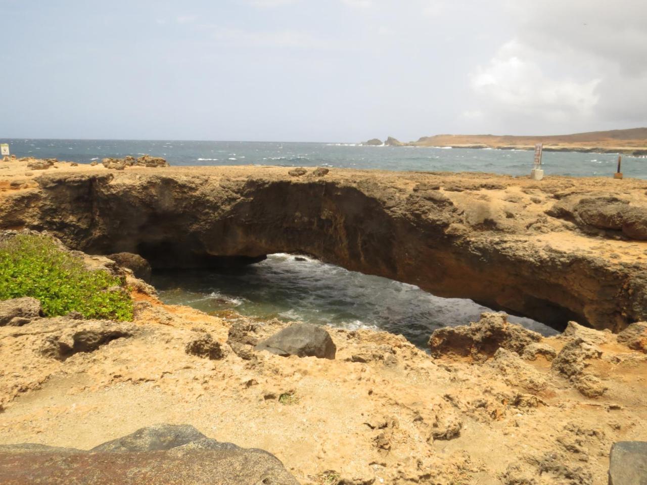 Karibu Aruba Boutique Hotel Palm Beach Luaran gambar